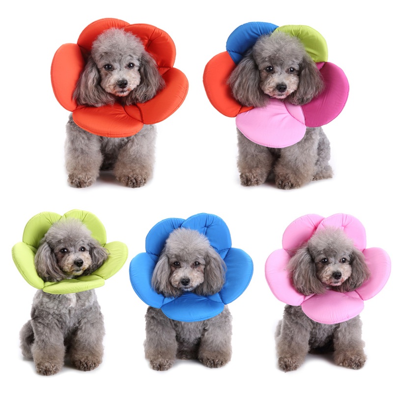 flower cone dog