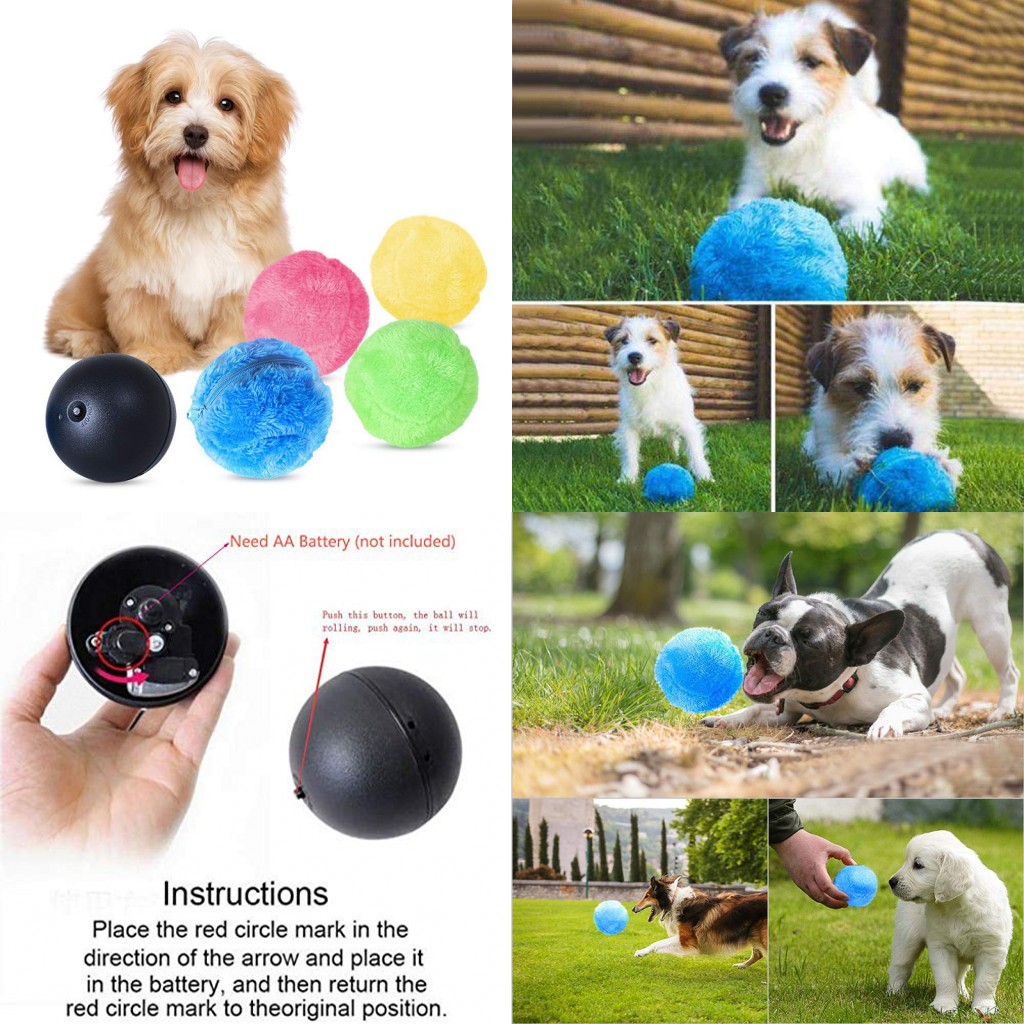 dog magic ball